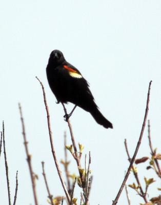 IMG_14032.jpg