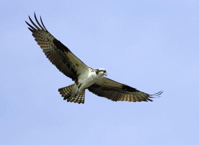 IMG_14146.jpg