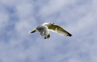 IMG_13356.jpg
