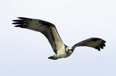 IMG_13420.jpg