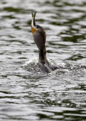 IMG_13497.jpg