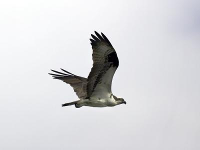 IMG_13516.jpg