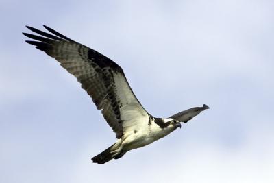 IMG_13531.jpg