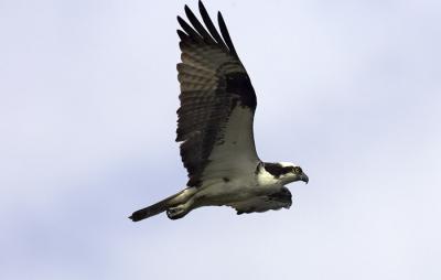 IMG_13541.jpg