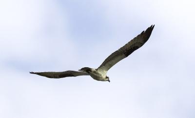 IMG_13559.jpg