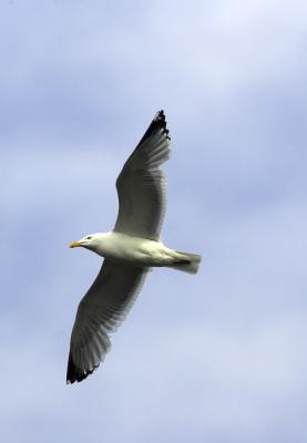 IMG_13615.jpg