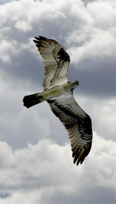 IMG_13730n.jpg