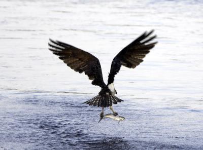 IMG_13793.jpg