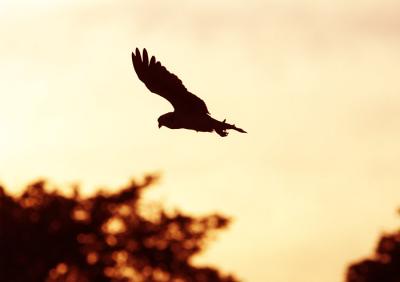 IMG_13864.jpg