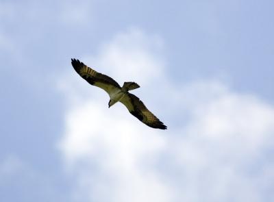 IMG_13988.jpg