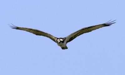 IMG_14094.jpg