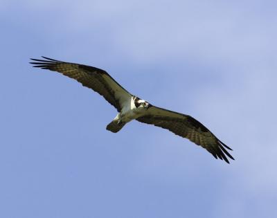 IMG_14100.jpg