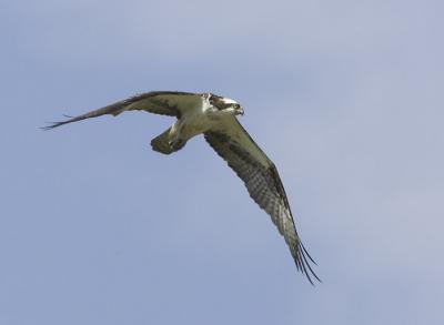 IMG_14101.jpg