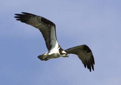 IMG_14102.jpg