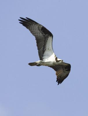 IMG_14108.jpg