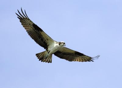 IMG_14146.jpg