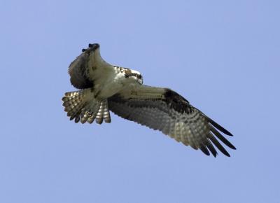 IMG_14155.jpg