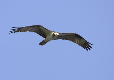 IMG_14205.jpg