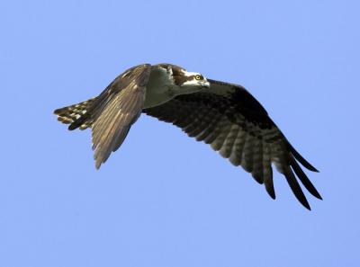 IMG_14215.jpg