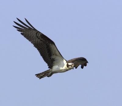 IMG_14221.jpg