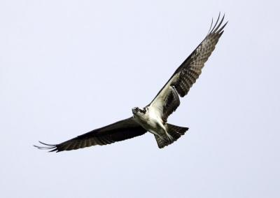IMG_14394.jpg