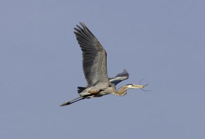 IMG_14672.jpg