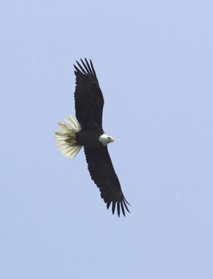 IMG_15008.jpg