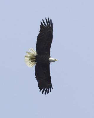 IMG_15013.jpg