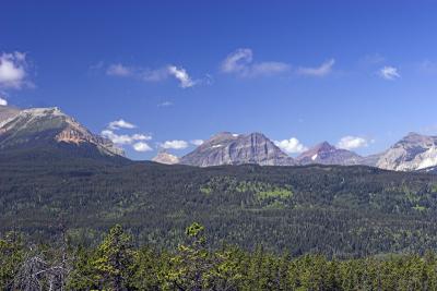 IMG_2273-01.jpg