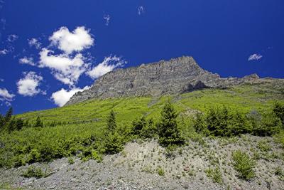 July05_2575-01.jpg