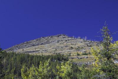 _M7A3156-01.jpg