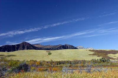 _MG_3252-01.jpg