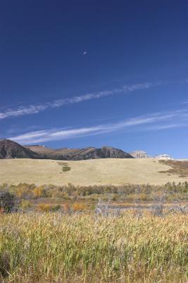 _MG_3253-01.jpg