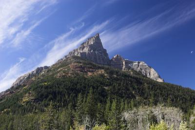 _MG_3260-01.jpg