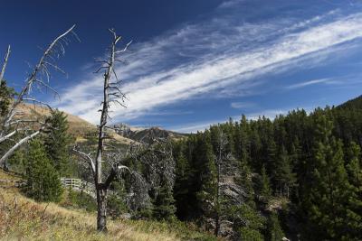 _MG_3351-01.jpg
