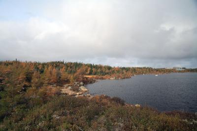 YYT_oct05_610.jpg