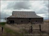 Oregon Barn