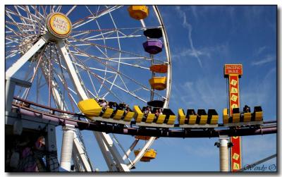 Roller Coaster