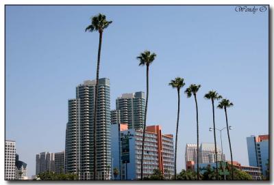 Skyline