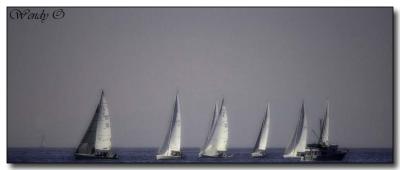 Sailboats 1