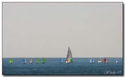 Sailboats 2