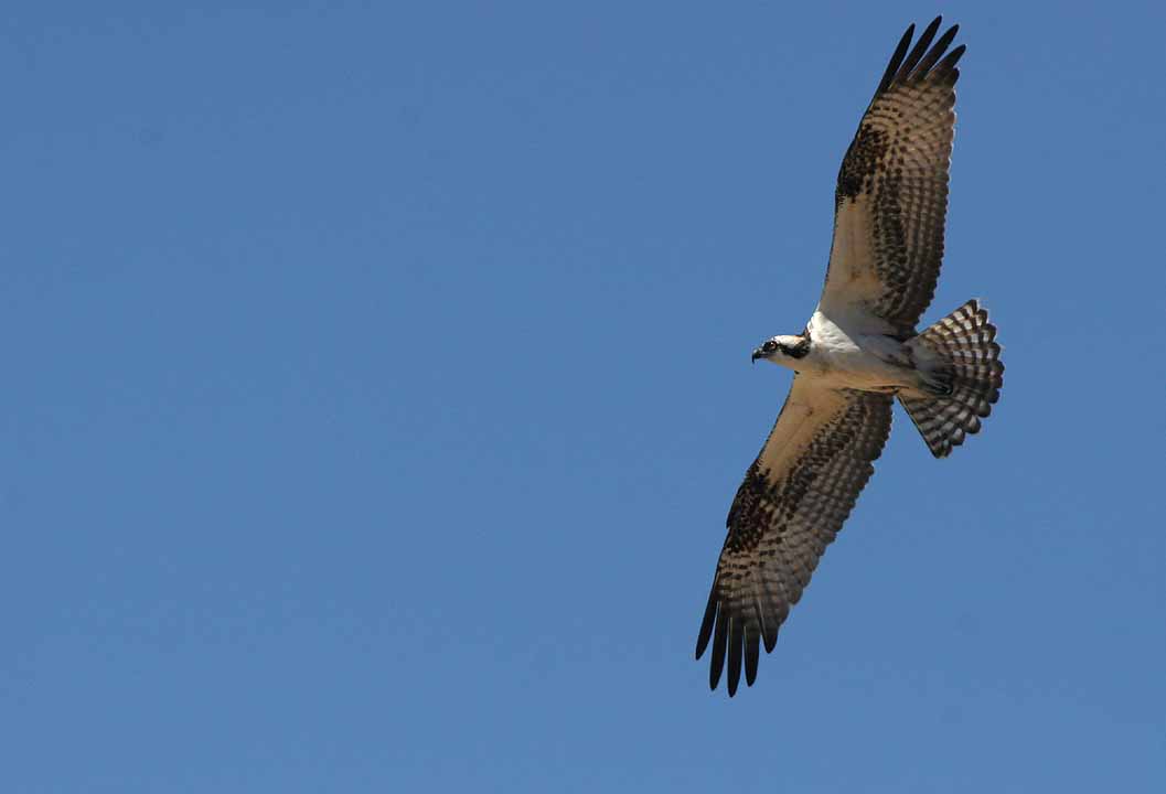 IMG_5757 tp.jpg