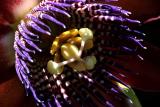 IMG_9329 qbe_a.jpg