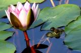 IMG_0242 qge.jpg