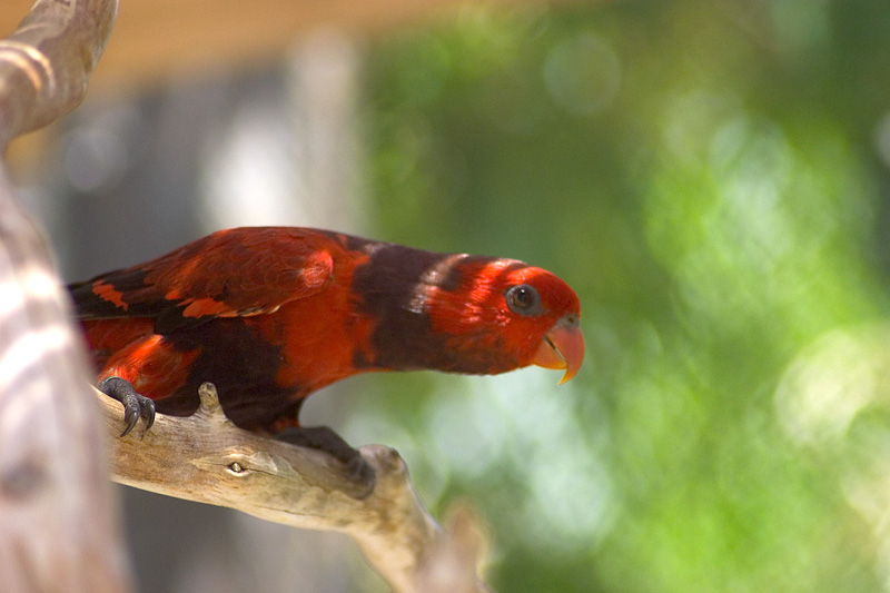 CRW_1495.jpg