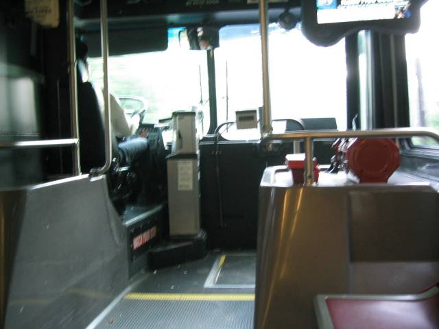 marta bus.JPG