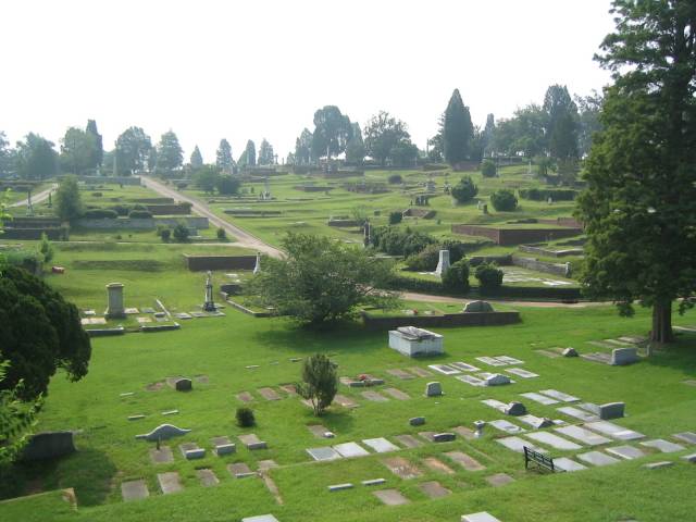 rose hill wide.JPG