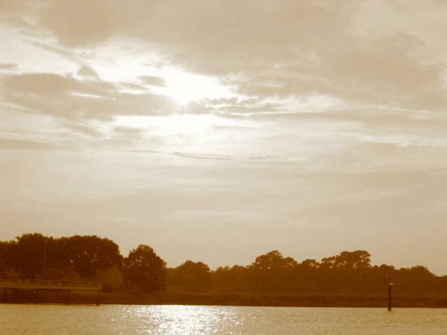 sun on creek sepia.JPG