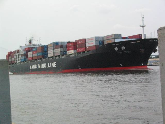 yang ming.JPG