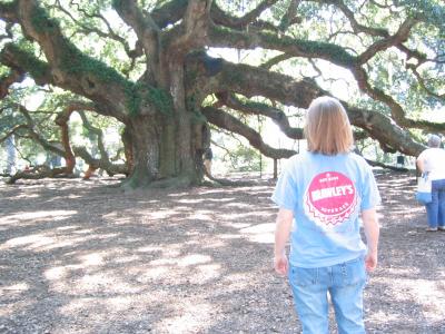 Angel Oak - Ace in Brawley's Shirt